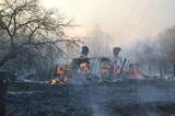 «Чернобыльская пуща» снова в огне, площадь пожара — 32 гектара