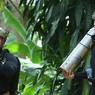 Специалисты Илона Маска пытаются спасти детей из тайской пещеры