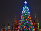 В Кремле рассказали о судьбе главной новогодней елки страны