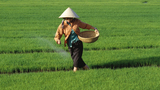 Депутаты поддержали проект по сдаче сельхозугодий китайцам