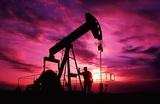 Нефтедобывающие страны предупредили о проблемах из-за Байдена