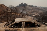 Более 30 человек погибли в результате лесных пожаров в Калифорнии