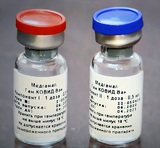 Гинцбург назвал четыре категории людей, у которых плохо вырабатываются антитела после вакцины