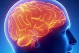 Ученые узнали, как мозг оправдывает убийства