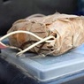 Названа мощность бомбы, использованной смертником в ТРК Абхазии