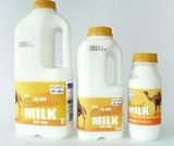 ООН рекомендует запивать кузнечиков верблюжьим молоком