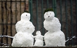 В Москве стихийное бедствие - снова зима и снег