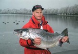СМИ: Норвежский лосось плывет в Россию с белорусским паспортом