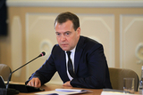 Медведев не обнаружил в России политзаключенных