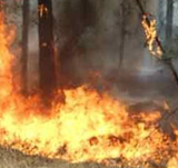 В Иркутской обрасти объявлен чрезвычайный класс пожароопасности