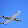 Самолет из Москвы  из-за дебошира посадили в Минеральных Водах