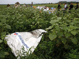 Найдены тела еще 27 погибших в авиакатастрофе над Украиной