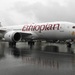 Пилоты разбившегося "Боинга" сообщали о проблемах с управлением самолётом