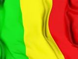 Правительство Мали ушло в отставку