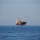 Обновить флот балкеров на российских верфях оказалось в четыре раза дороже, чем построить на китайских