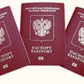 Герман Клименко рассказал о преимуществе  электронных паспортов
