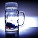Производители предложили установить минимальную цену на пиво