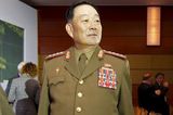 Интернет потрясен записью жестокой казни командующего ВС КНДР