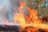 Площадь пожаров в забайкальских лесах возросла до 5,97 тысяч га
