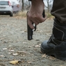 Горячий дагестанский парень, угрожая пистолетом, похитил невесту