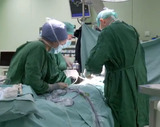 В Испании трансплантологи установили новый рекорд
