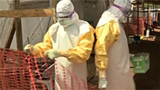 ВОЗ бьет тревогу: вирус Эбола может прийти из Африки