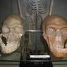 Учёные показали, как выглядели женщины 13 тысяч лет назад