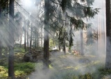 Дым от пожаров в Сибири достиг Аляски и Канады