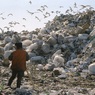 Медведев объявил о ликвидации нескольких мусорных полигонов