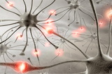 Британские ученые научились лечить эпилепсию с помощью вируса