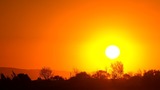 Учёные прогнозируют повышение смертности от жары в пять раз за 50 лет