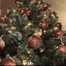 За незаконную вырубку новогодней елки грозит штраф