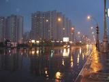 В московском регионе ожидается дождливое воскресенье