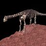 В Африке найден Святой Грааль динозавров
