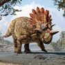 Канадские палеонтологи обнаружили новый вид динозавра-Хеллбоя