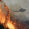 Экологи бьют тревогу:  растет  число  лесных пожаров в РФ