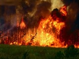 Кабмин выделил 90 млн руб пострадавшим из-за пожаров в Забайкалье