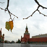 Пятница в Москве: дождь и до 5 градусов тепла
