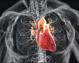 Проблемы с потенцией — сигнал о приближении инфаркта