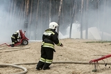 В Коми из-за пожаров временно запрещено посещать леса