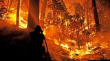 В Бурятии горит более 150 тысяч гектаров леса