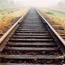 Организаторы блокады Донбасса начали блокировать железные дороги в Россию
