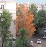 В Москву сквозь зиму прокралась осень