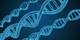 В клетках человека обнаружена новая загадочная форма ДНК