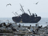 Рыбаки голодали на судне «Камчатка» в неволе три дня