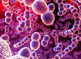 Бактерии к 2050 году станут опасней рака