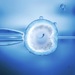 Ученые открыли метод, который позволит родителям выбирать пол будущего ребенка