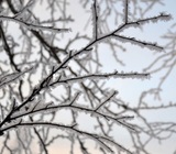 Росгидромет дал прогноз на грядущую зиму: почти везде будет минус