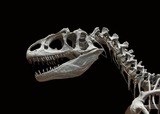 В NASA нашли следы сотен динозавров