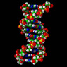 Великобритания начала практиковать искусственное оплодотворение с ДНК трех родителей